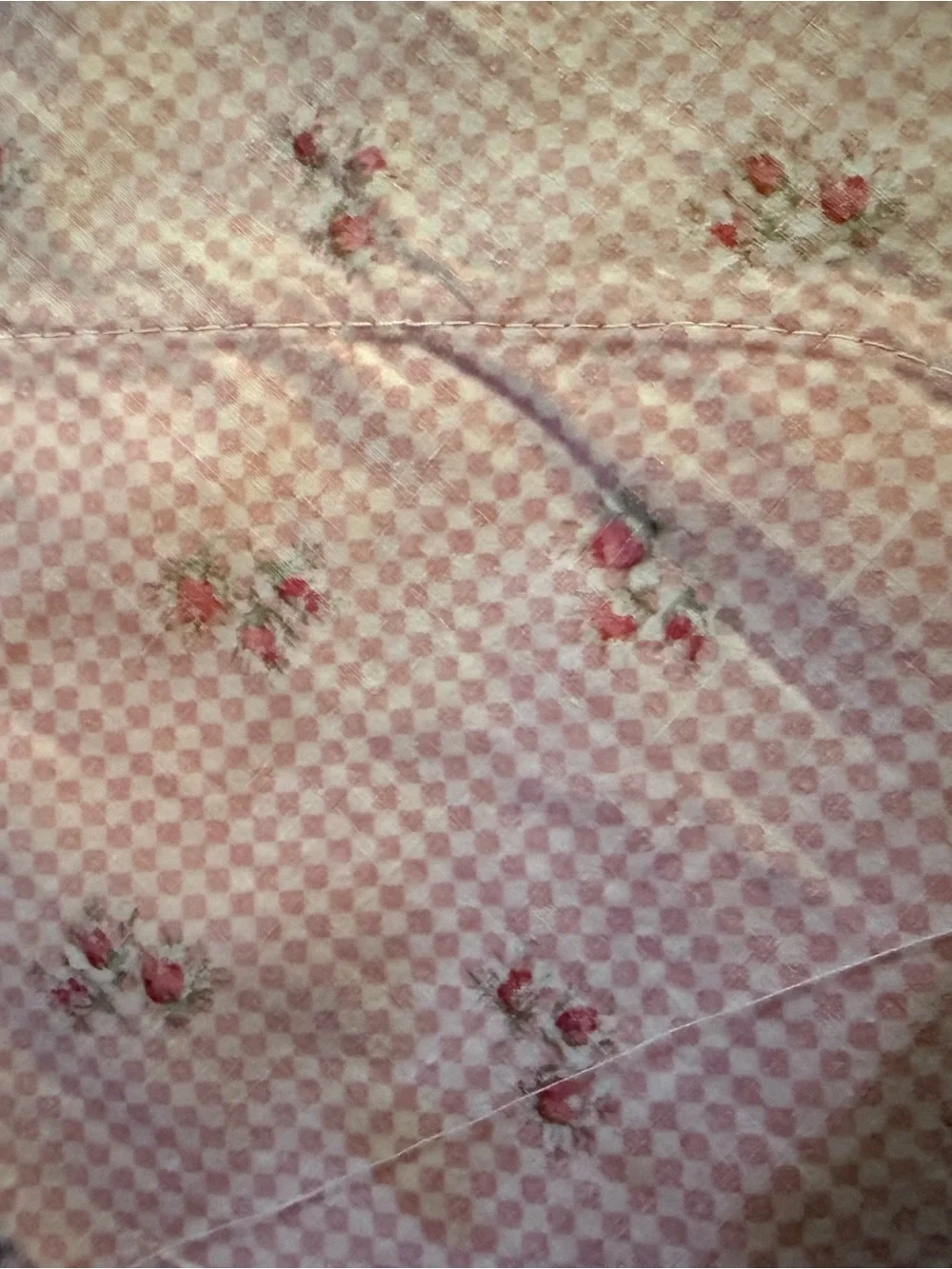 Early 1900’s Pink Floral Checkered Apron